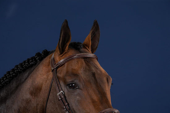 leather browband