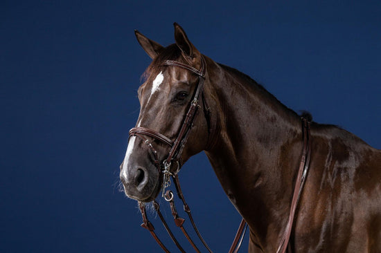 jumping double bridle