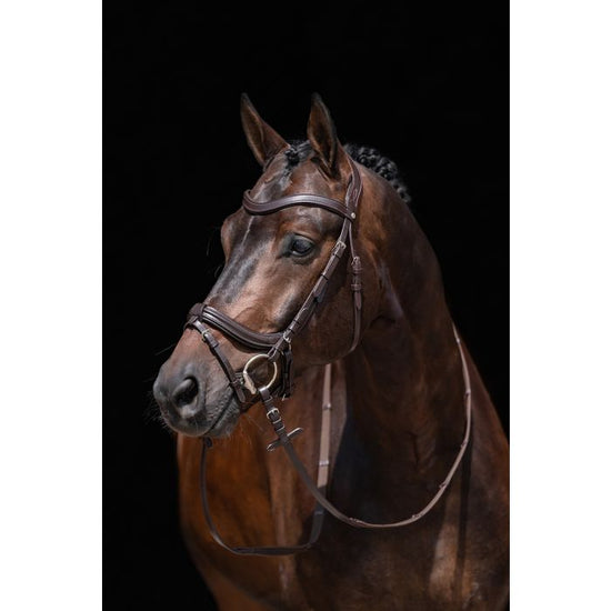 Anatomic Leather bridle