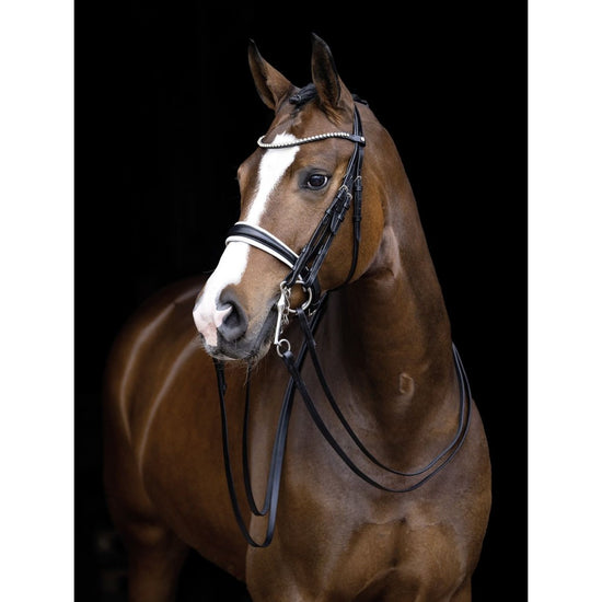 HKM Double Bridle