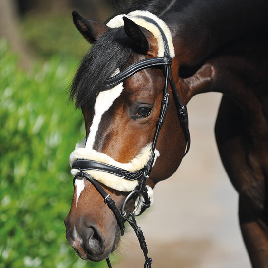 Ivy Bridle with sheepskin