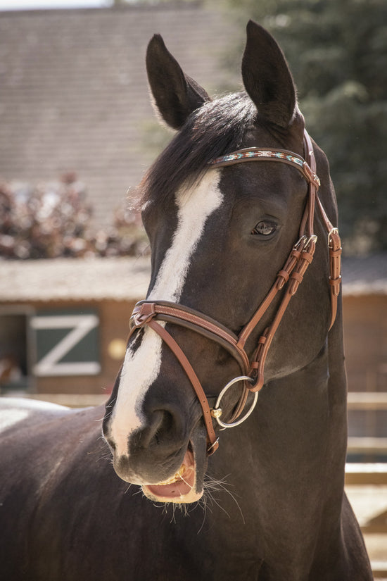 bridle with pearls