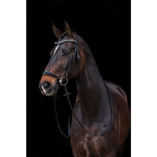 Black Patent Drop Noseband HKM Bridle