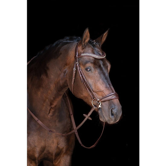 Brown Patent Drop Noseband bridle