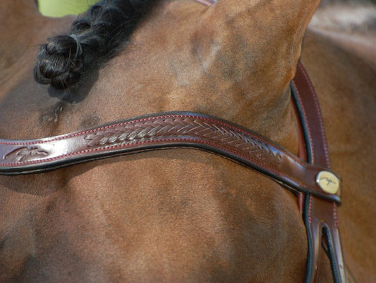 V Shaped Browband