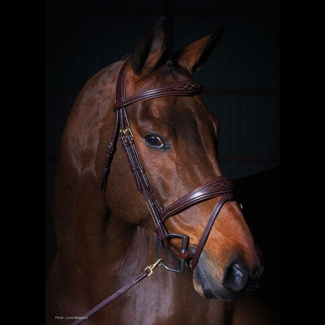 Anatomic Flash Noseband Bridle