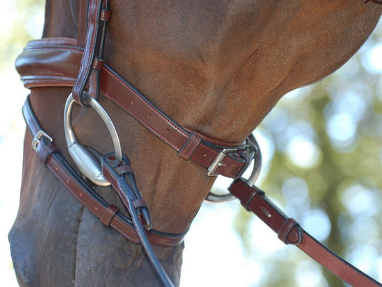 Brown dressage bridle