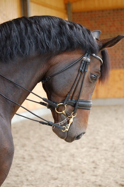 Rolled Leather Double Bridle