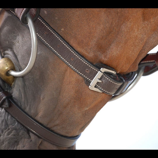 Dyon Flash Bridle