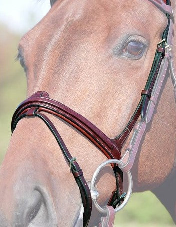 Removable Flash Noseband