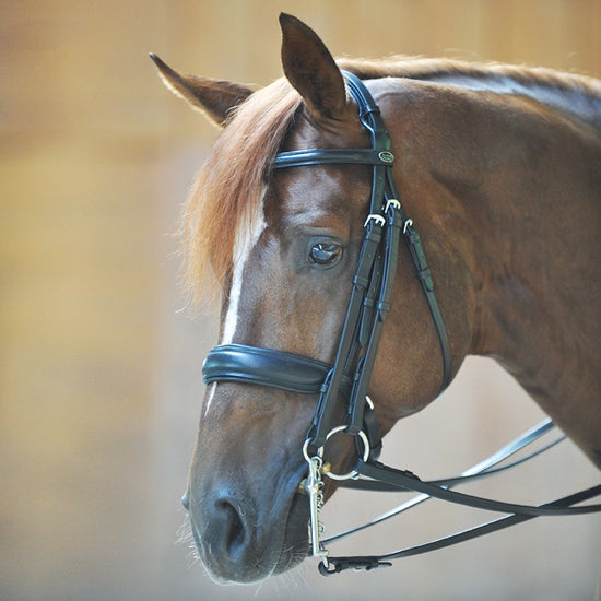 Weymouth Bridle "Dacira"