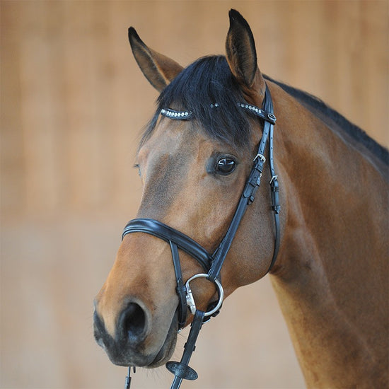 Open Flash Noseband Bridle