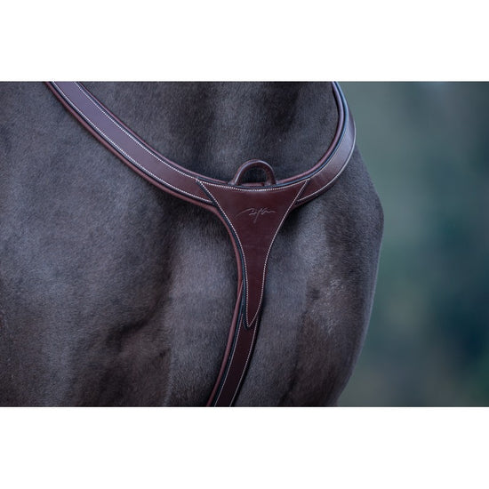 Dyon anatomic long bridge breastplate