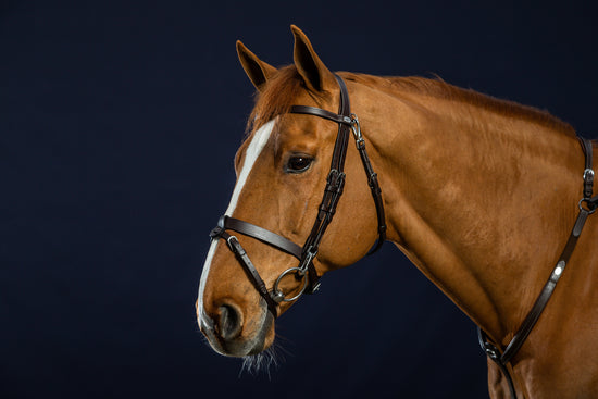 bridle with snap hook for the bit