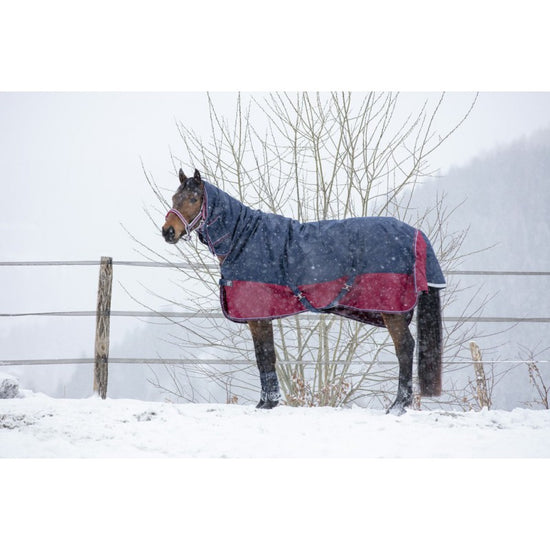 winter turnout rug 350g