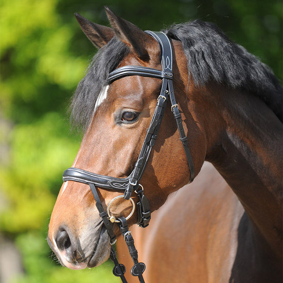 Anatomic bridle cheap