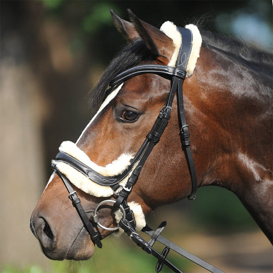 Bridle with Sheepskin