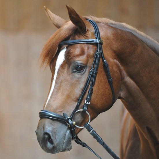 Drop Noseband Bridle Lina