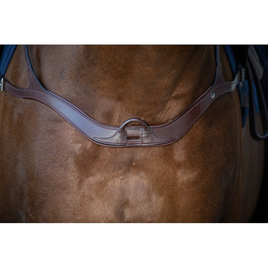 dyon anatomic breastplate