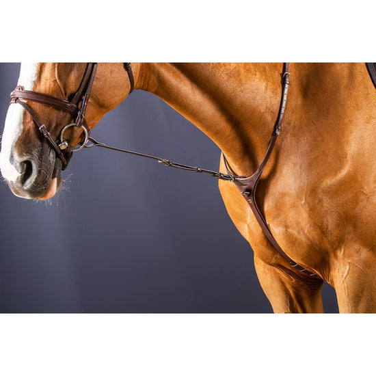 Standing martingale attachment