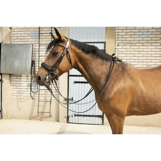 dressage double bridle