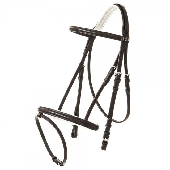 Bridle Quintin