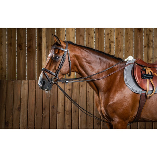 Dyon leather draw reins