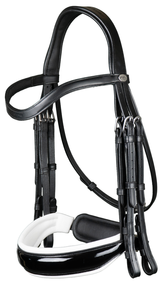 Double bridle with white noseband