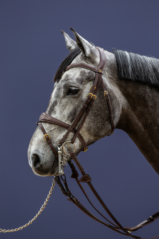 bridle headpiece