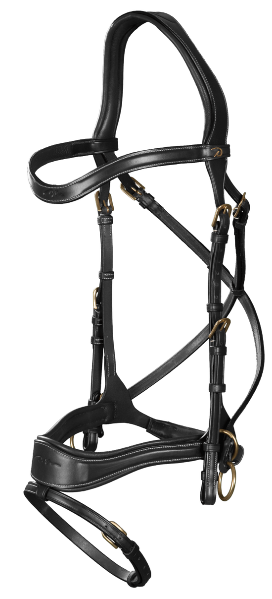 D motion bridle